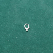 Nickel Clip for Ring Flite