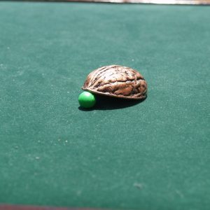 Antique Copper Shell with Green Pea 2