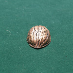 Antique Copper Shell