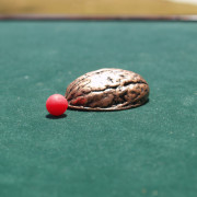 Antique Copper Shell with Red Pea